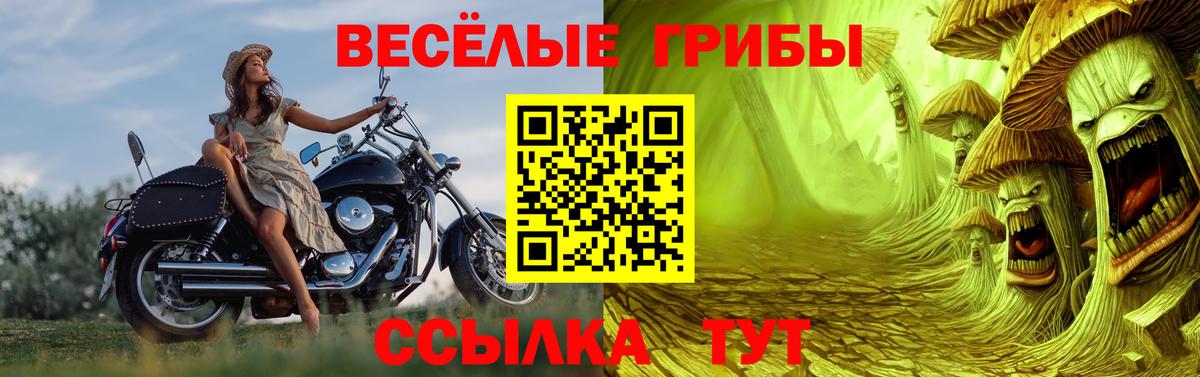Псилоцибиновые грибы ЛСД Мурманск
